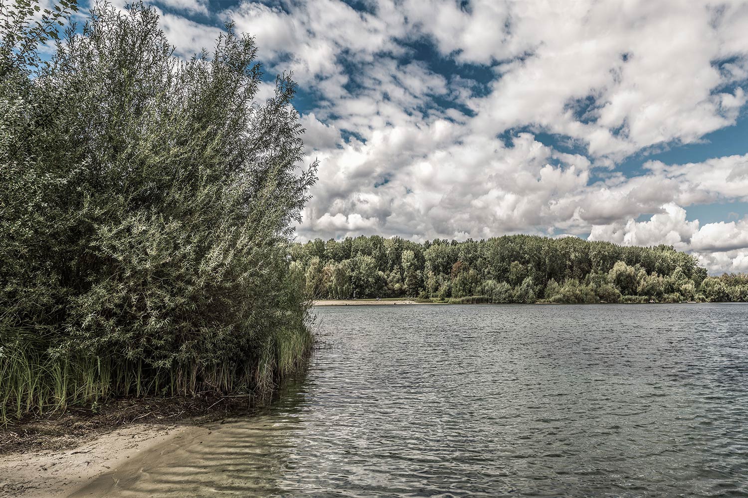 74_LIHO_SOMMER_B0000818