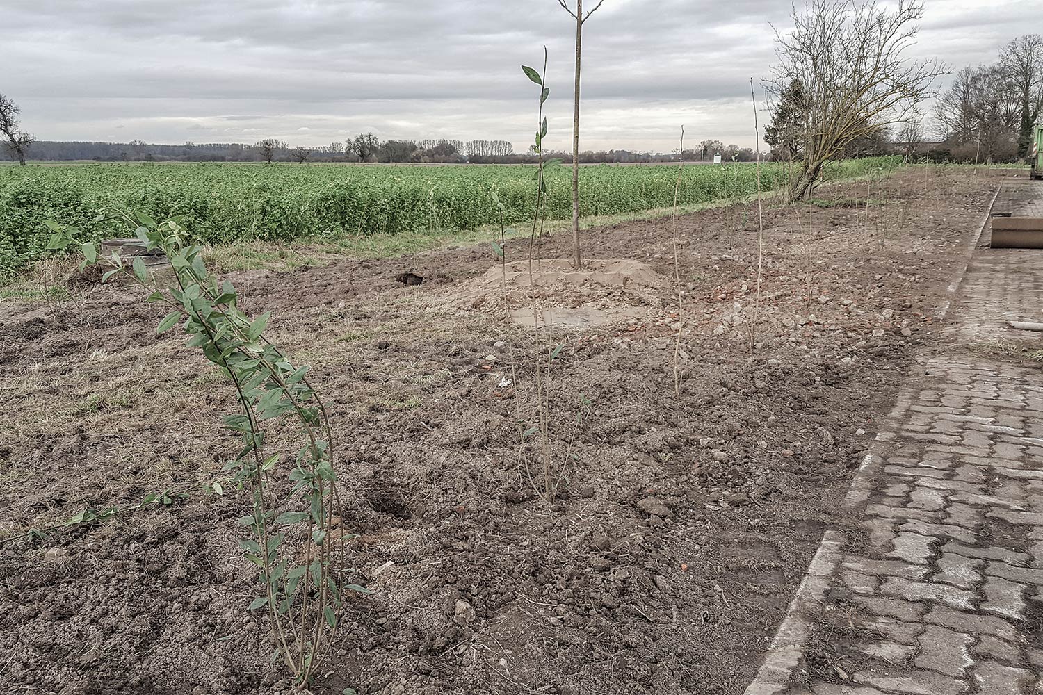 Ausgleichsflaechen-Biegen-2018